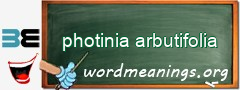 WordMeaning blackboard for photinia arbutifolia